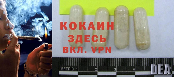 спайс Кулебаки