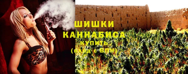 мдпв Лабытнанги