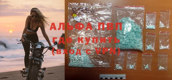 СК Ладушкин