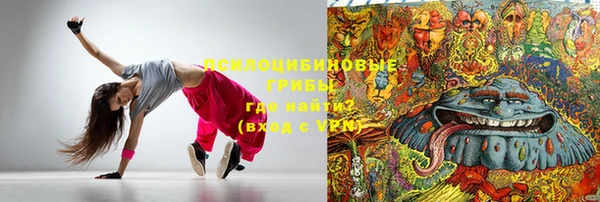 мдпв Лабытнанги